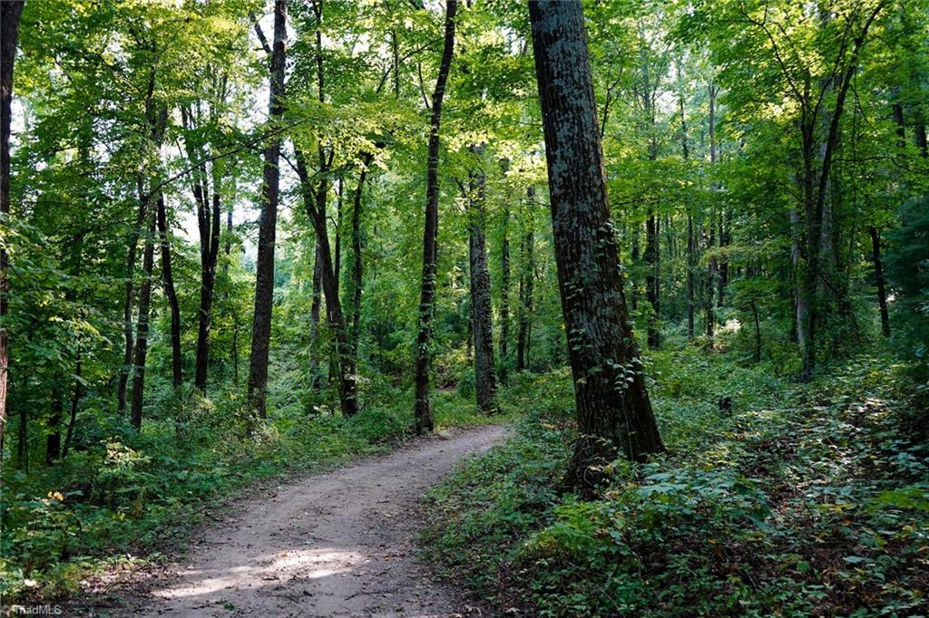 671 Ramey Orchard Road Lowgap, NC 27024 - Photo 8 of 50 Gallery Image 8