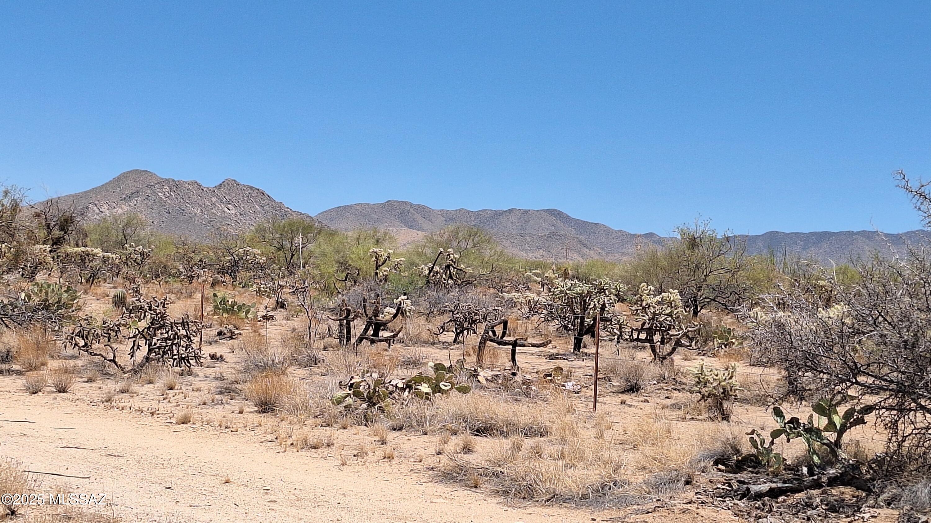 18 West Diamond Bell Ranch Road, Unit 403 Tucson, AZ 85736 - Photo 12 of 20 Gallery Image 12