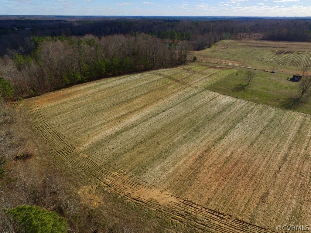 0 Robertsons Road Blackstone, VA 23824 - Photo 7 of 19 Gallery Image 7