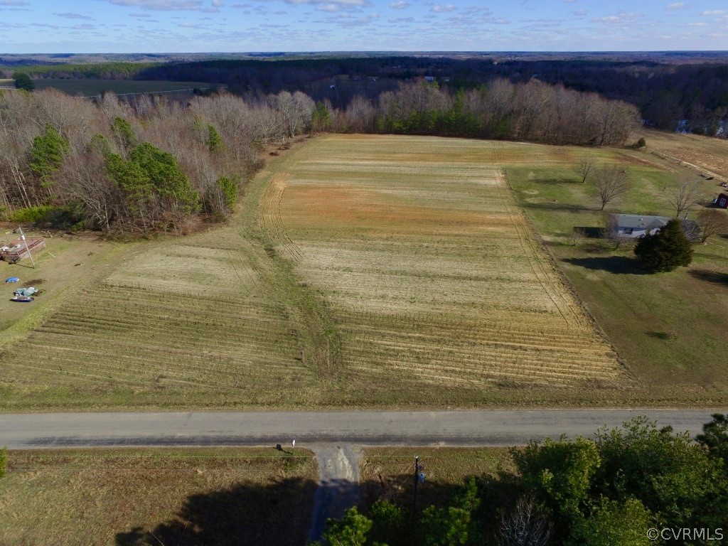 0 Robertsons Road Blackstone, VA 23824 - Photo 10 of 19 Gallery Image 10