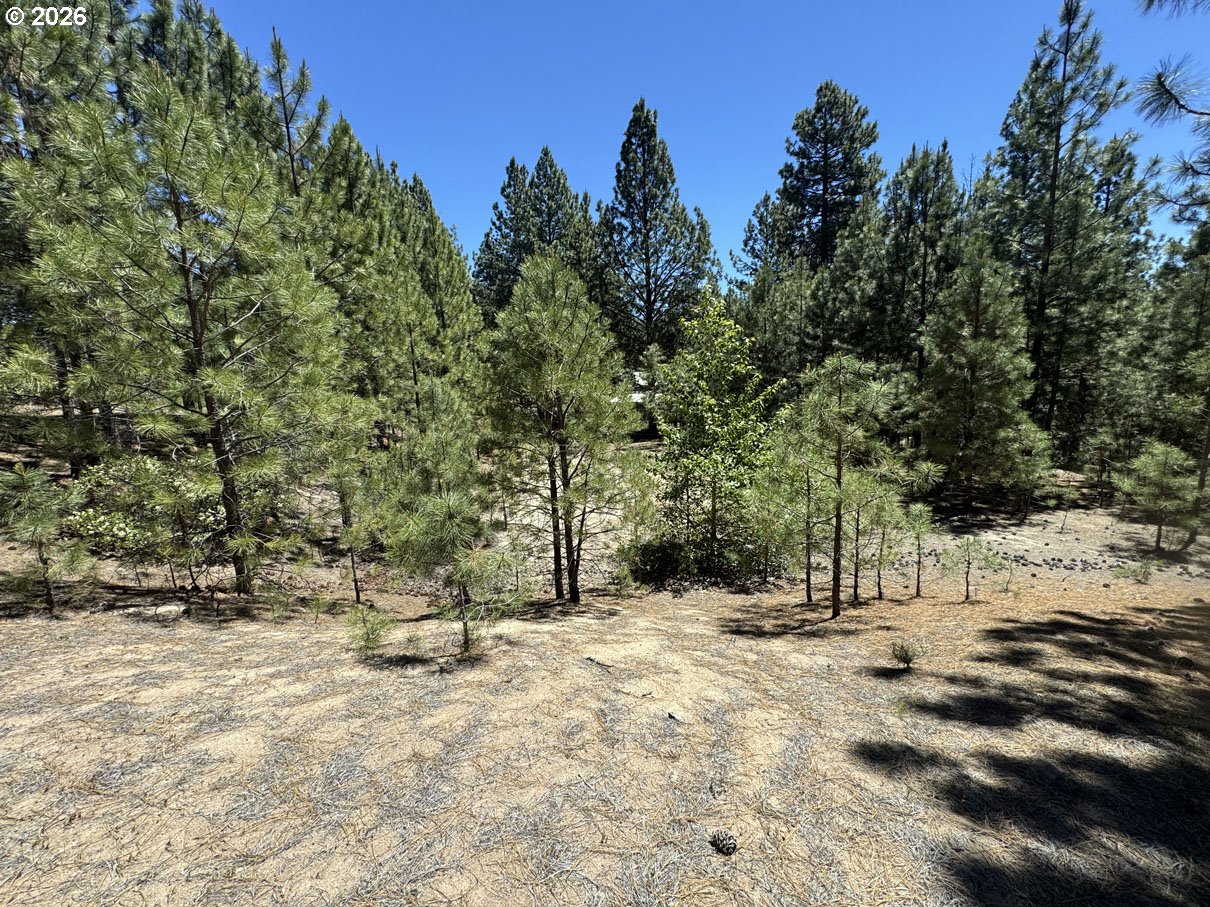 Friendship Drive, Unit 12 Chiloquin, OR 97624 - Photo 6 of 28