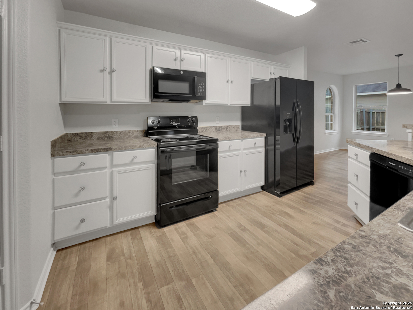 3420 Rob Roy Street Seguin, TX 78155 - Photo 2 of 17