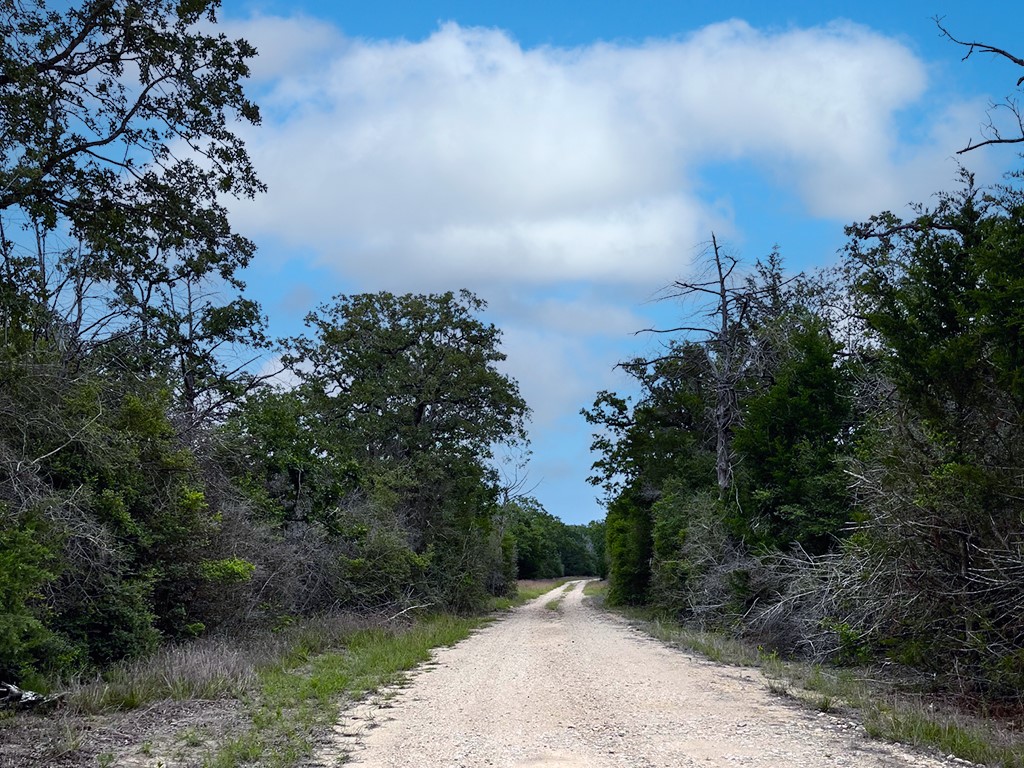 2231 Greens Creek Road Ledbetter, TX 78946 - Photo 11 of 11 a view of a pathway both side of grassy field with trees