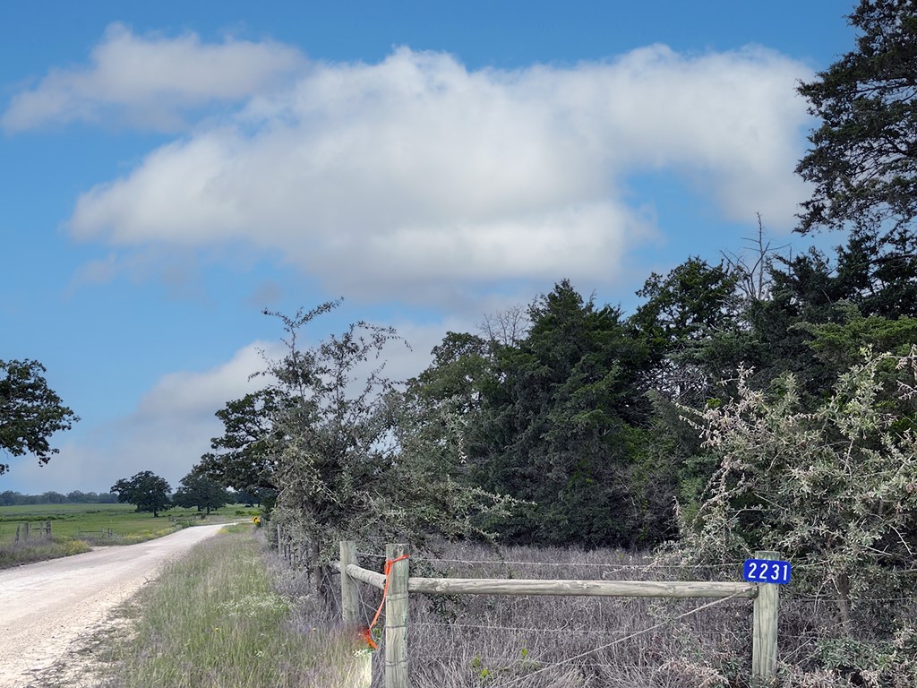 2231 Greens Creek Road Ledbetter, TX 78946 - Photo 2 of 11 a view of a yard with wooden fence