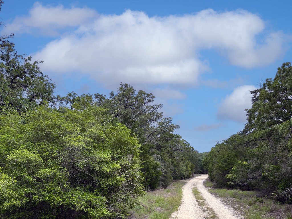 2231 Greens Creek Road Ledbetter, TX 78946 - Photo 5 of 11 a view of a city with lush green forest