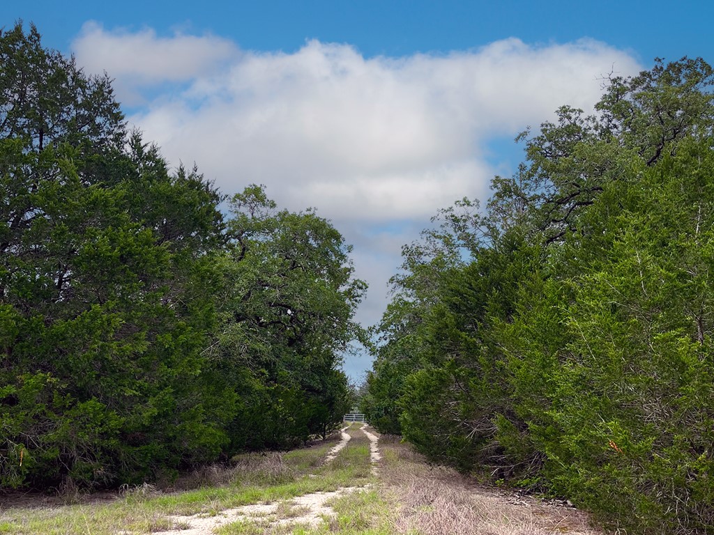 2231 Greens Creek Road Ledbetter, TX 78946 - Photo 7 of 11 a view of a yard with wooden fence