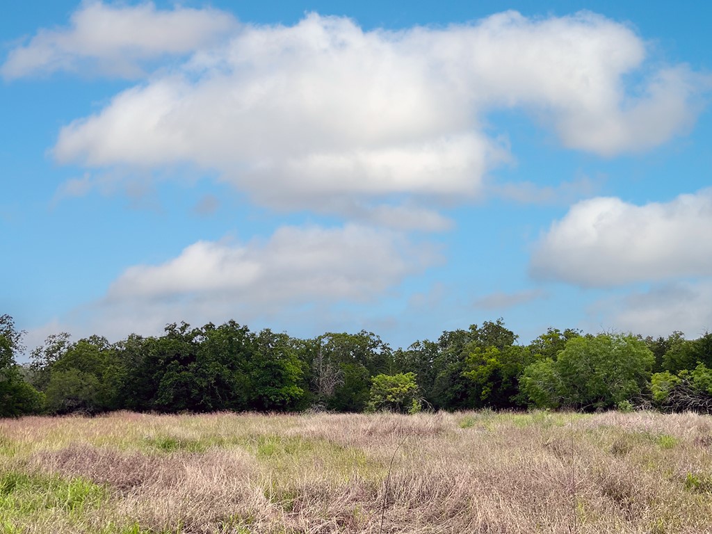 2231 Greens Creek Road Ledbetter, TX 78946 - Photo 8 of 11
