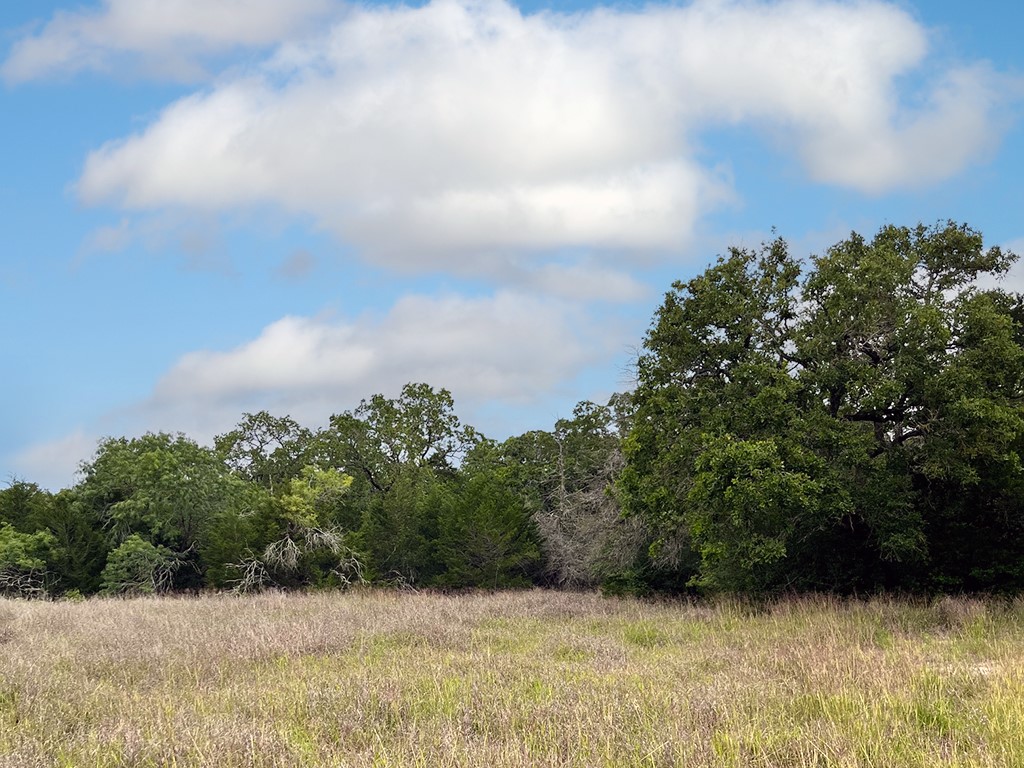 2231 Greens Creek Road Ledbetter, TX 78946 - Photo 9 of 11