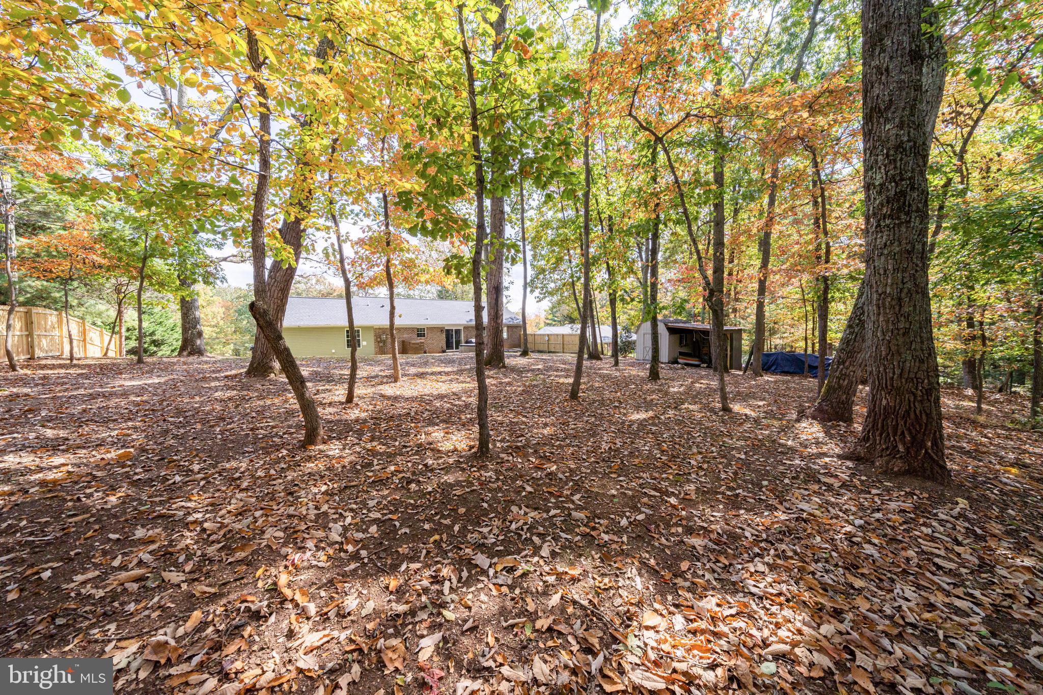 7026 Kelly Road Warrenton, VA 20187 - Photo 5 of 36 Private wooded back yard