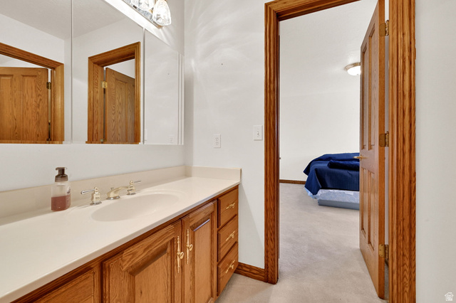 1085 Windsor Drive Provo, UT 84604 - Photo 52 of 83 Bathroom featuring light carpet and vanity