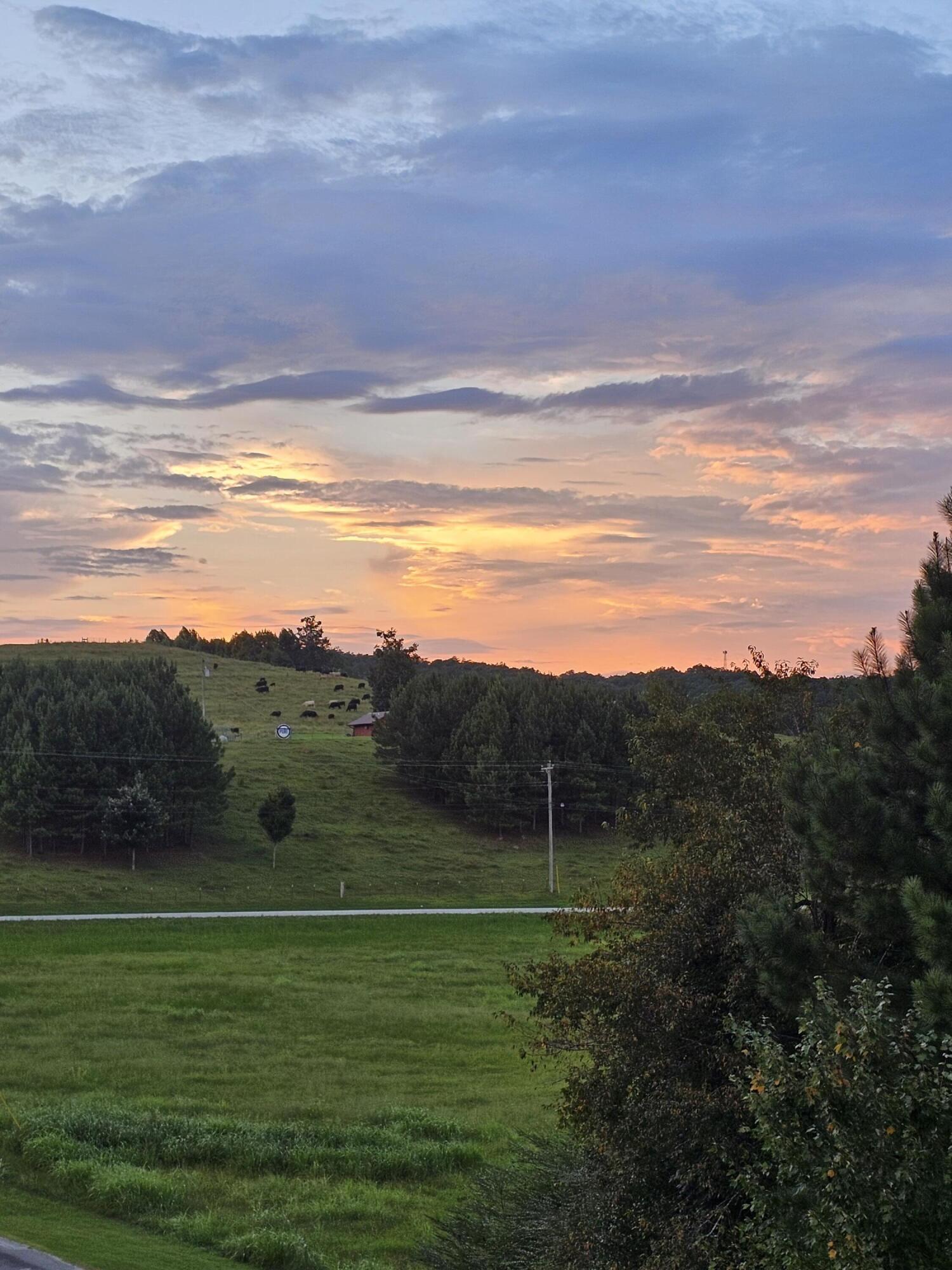 117 Golf Lane Ringgold, GA 30736 - Photo 37 of 38 e2025e1b-4e48-49fb-96be-242f349c7e5b-1_a