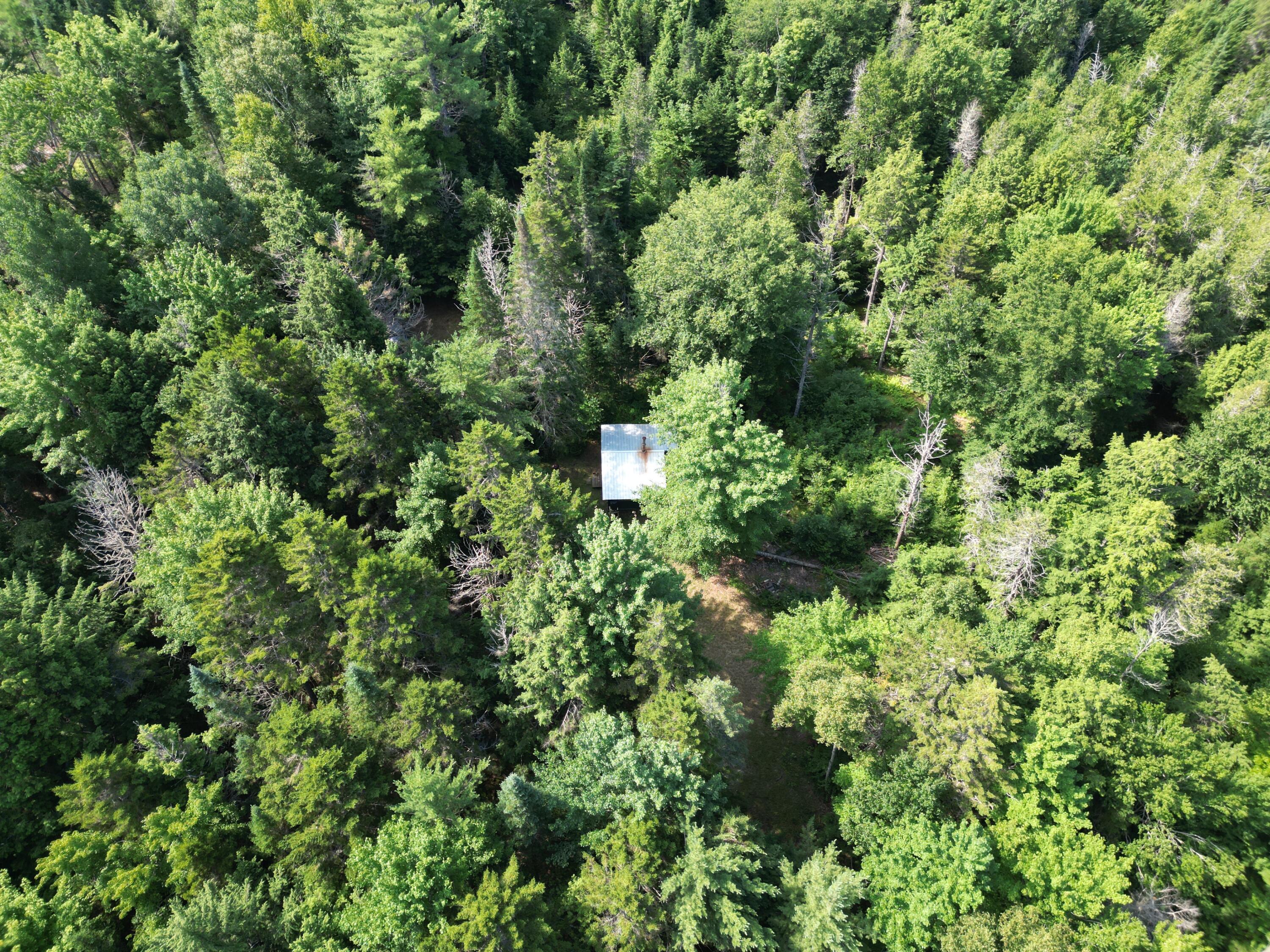 Lot 10-off Lot 10-off Town Line Road Springfield, ME 04487 - Photo 14 of 31 DJI_0949