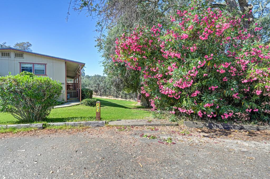2000 Camanche Road, Unit 243 Ione, CA 95640 - Photo 6 of 38