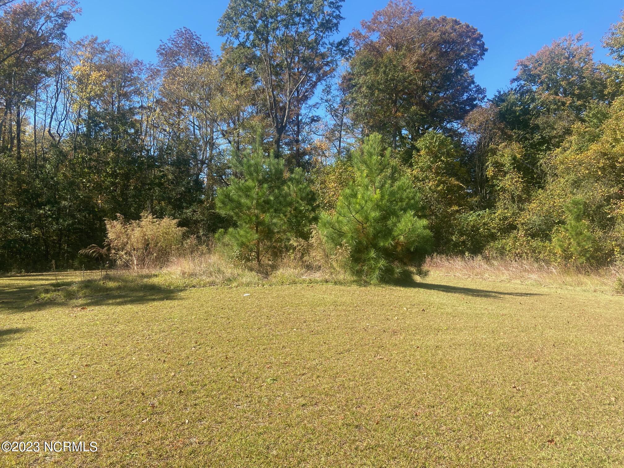 0 Little Lane Washington, NC 27889 - Photo 10 of 10 IMG_9290