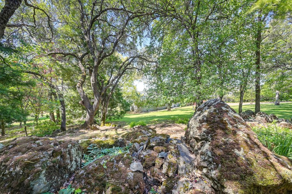 3735 Bell Road Auburn, CA 95603 - Photo 5 of 49