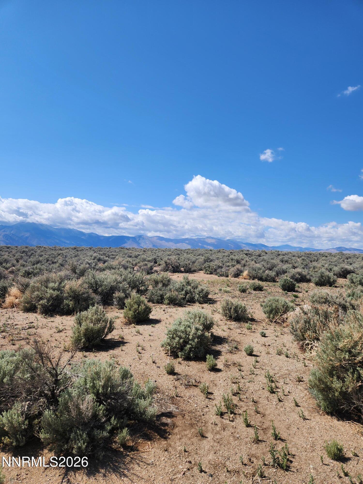 42 Acciari Road Smith, NV 89430 - Photo 8 of 10 a view of a city with mountains in the background
