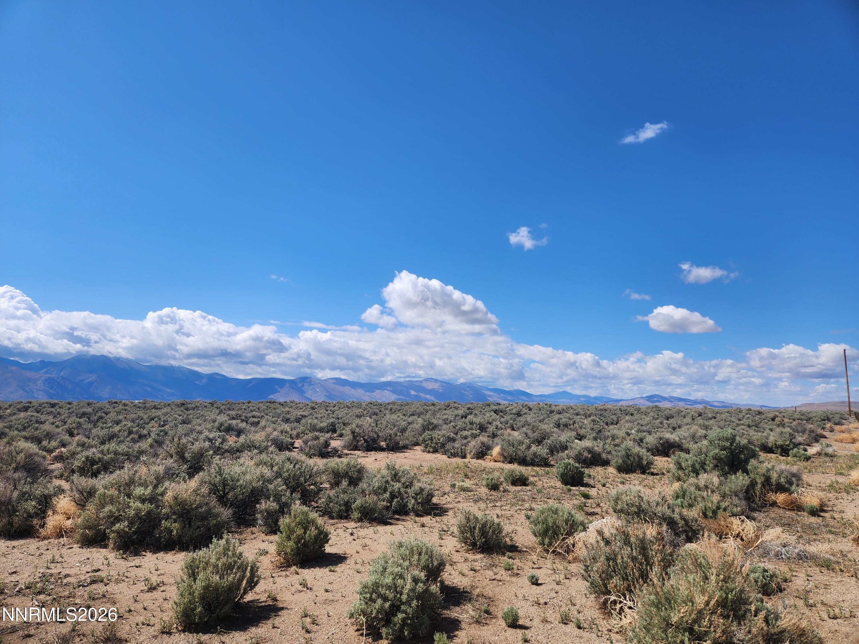 42 Acciari Road Smith, NV 89430 - Photo 9 of 10 a view of a city