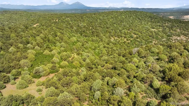 $175,000 | Lots F & J Tollerburg Road, Trinidad, CO 81082