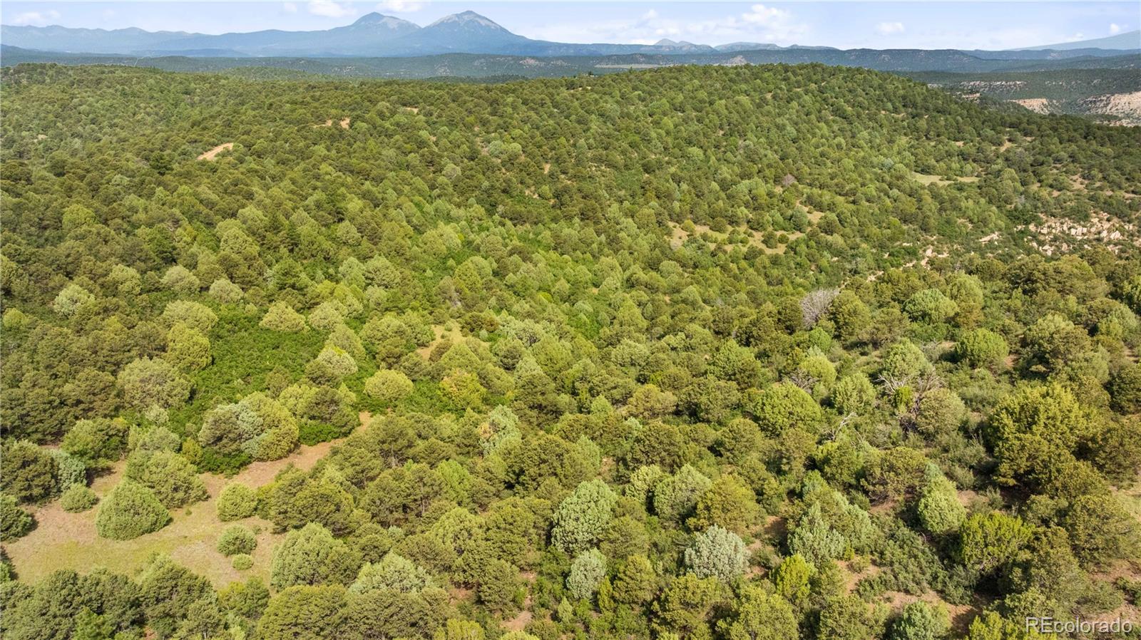 Lots F & J Tollerburg Road Trinidad, CO 81082 - Photo 17 of 22