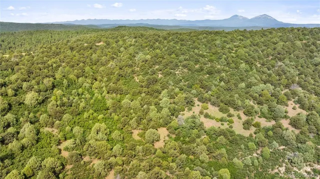 $175,000 | Lots F & J Tollerburg Road, Trinidad, CO 81082