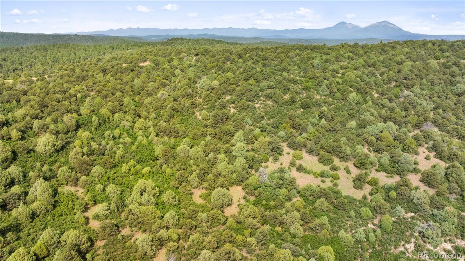 Lots F & J Tollerburg Road Trinidad, CO 81082 - Photo 18 of 22