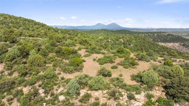 $175,000 | Lots F & J Tollerburg Road, Trinidad, CO 81082
