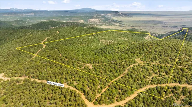 $175,000 | Lots F & J Tollerburg Road, Trinidad, CO 81082