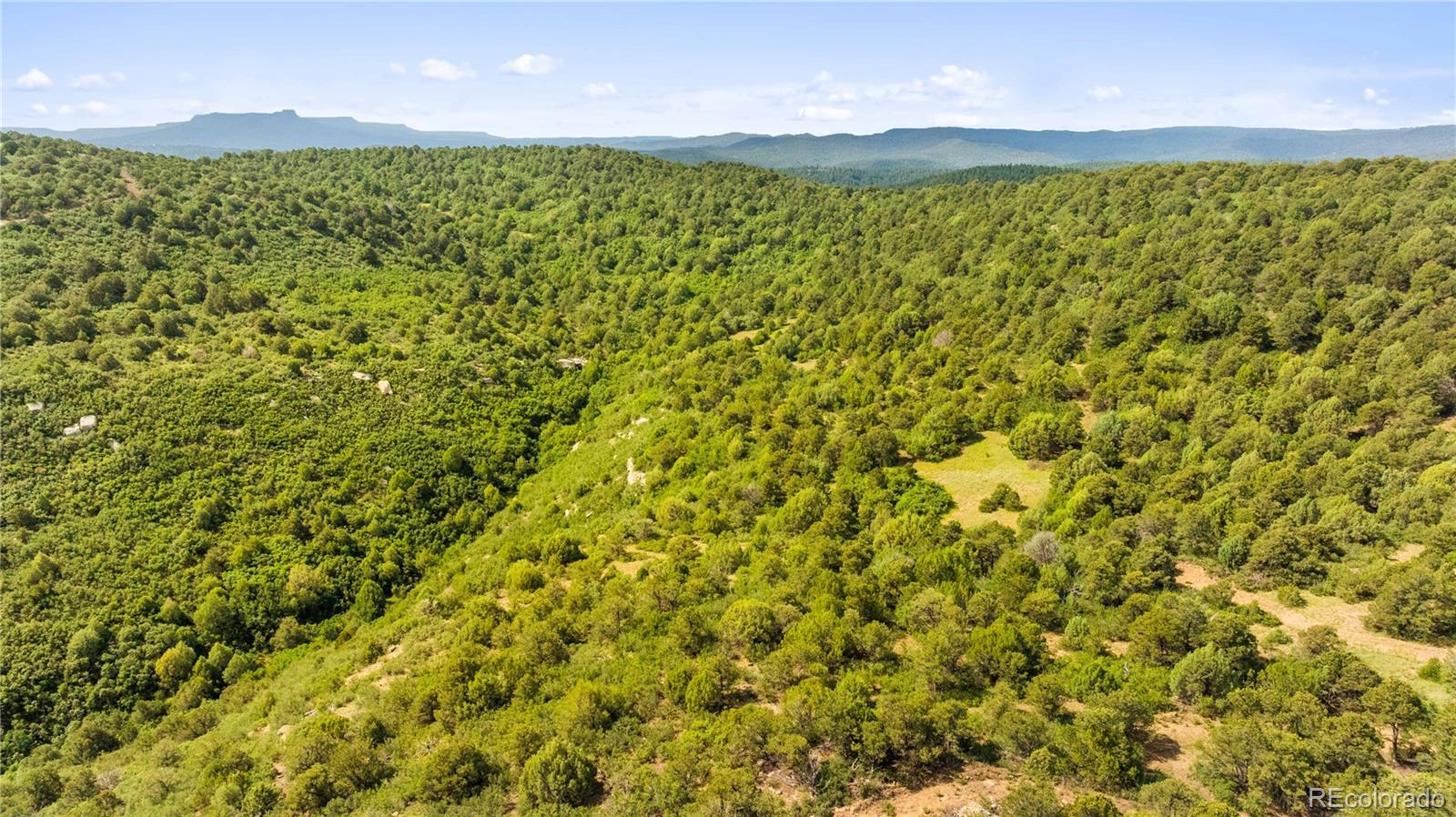 Lots F & J Tollerburg Road Trinidad, CO 81082 - Photo 21 of 22