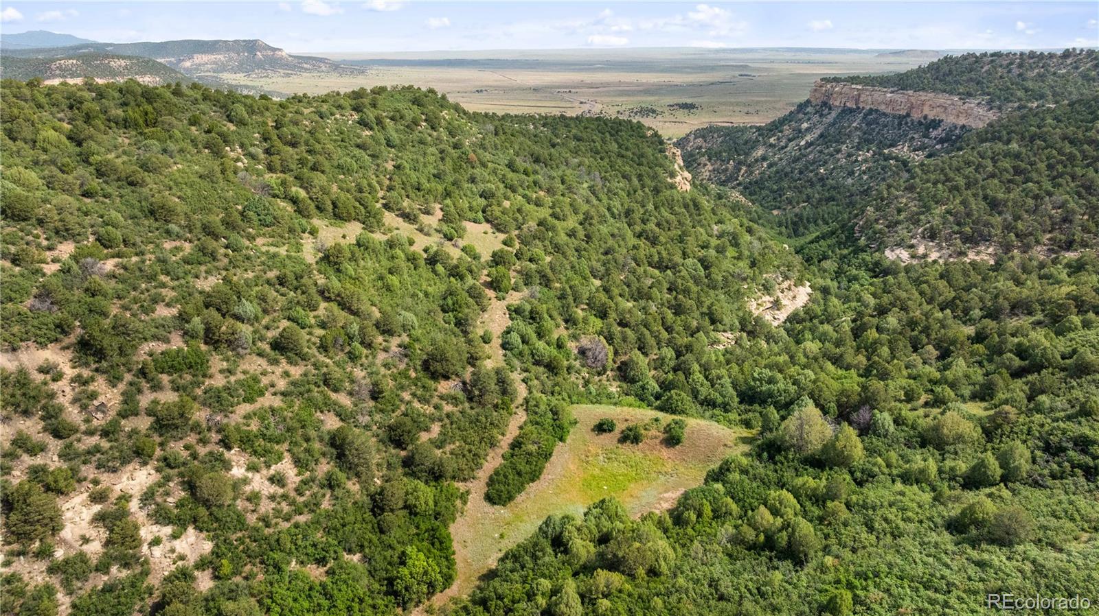 Lots F & J Tollerburg Road Trinidad, CO 81082 - Photo 4 of 22