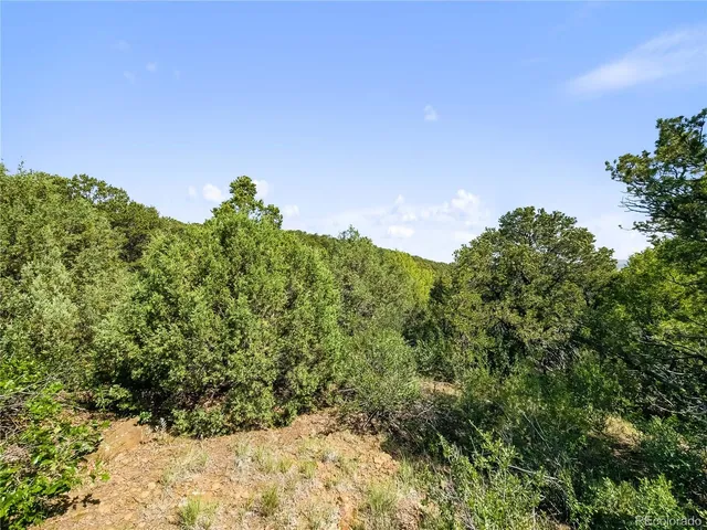 $175,000 | Lots F & J Tollerburg Road, Trinidad, CO 81082