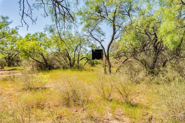 $725,000 | 1099 County Road 247, Rochelle, TX 76872