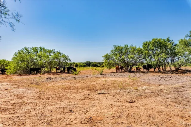 $725,000 | 1099 County Road 247, Rochelle, TX 76872