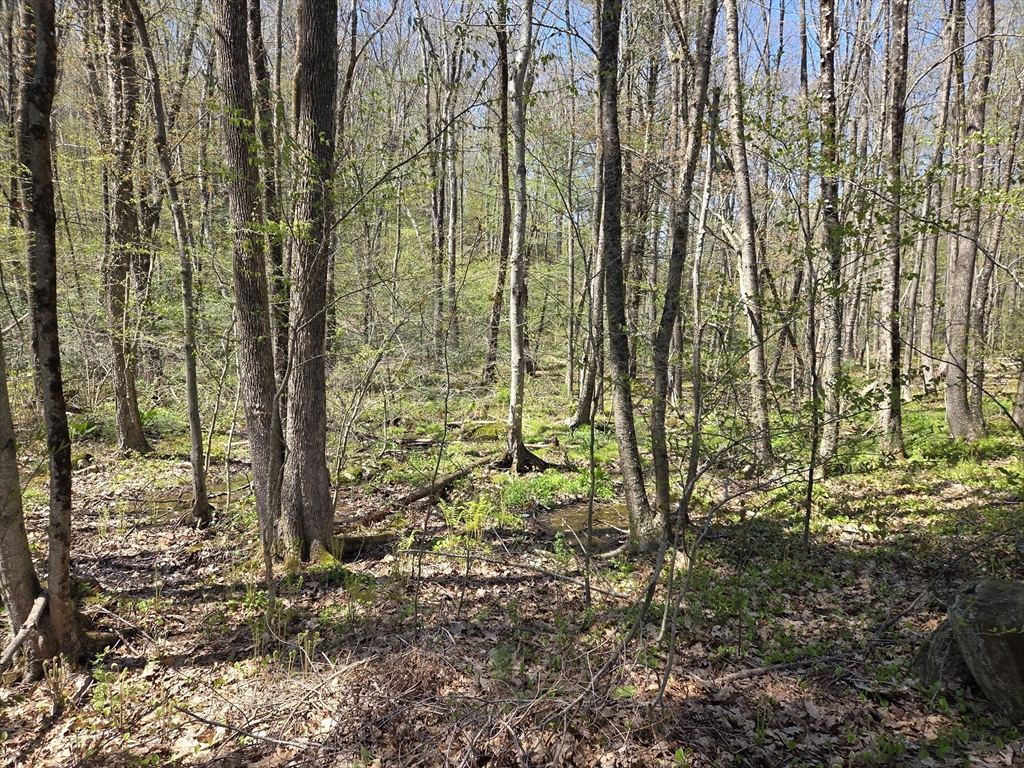 0 Union Road Holland, MA 01521 - Photo 3 of 5