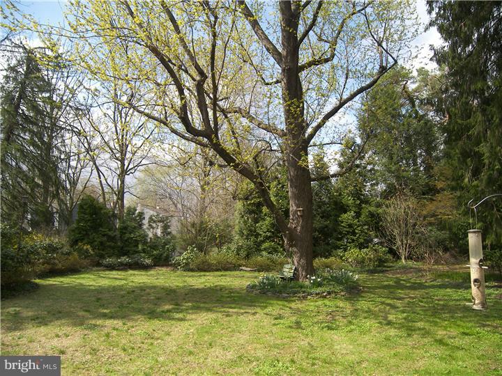 39 Bright Road Hatboro, PA 19040 - Photo 24 of 24 a backyard of a house with lots of green space