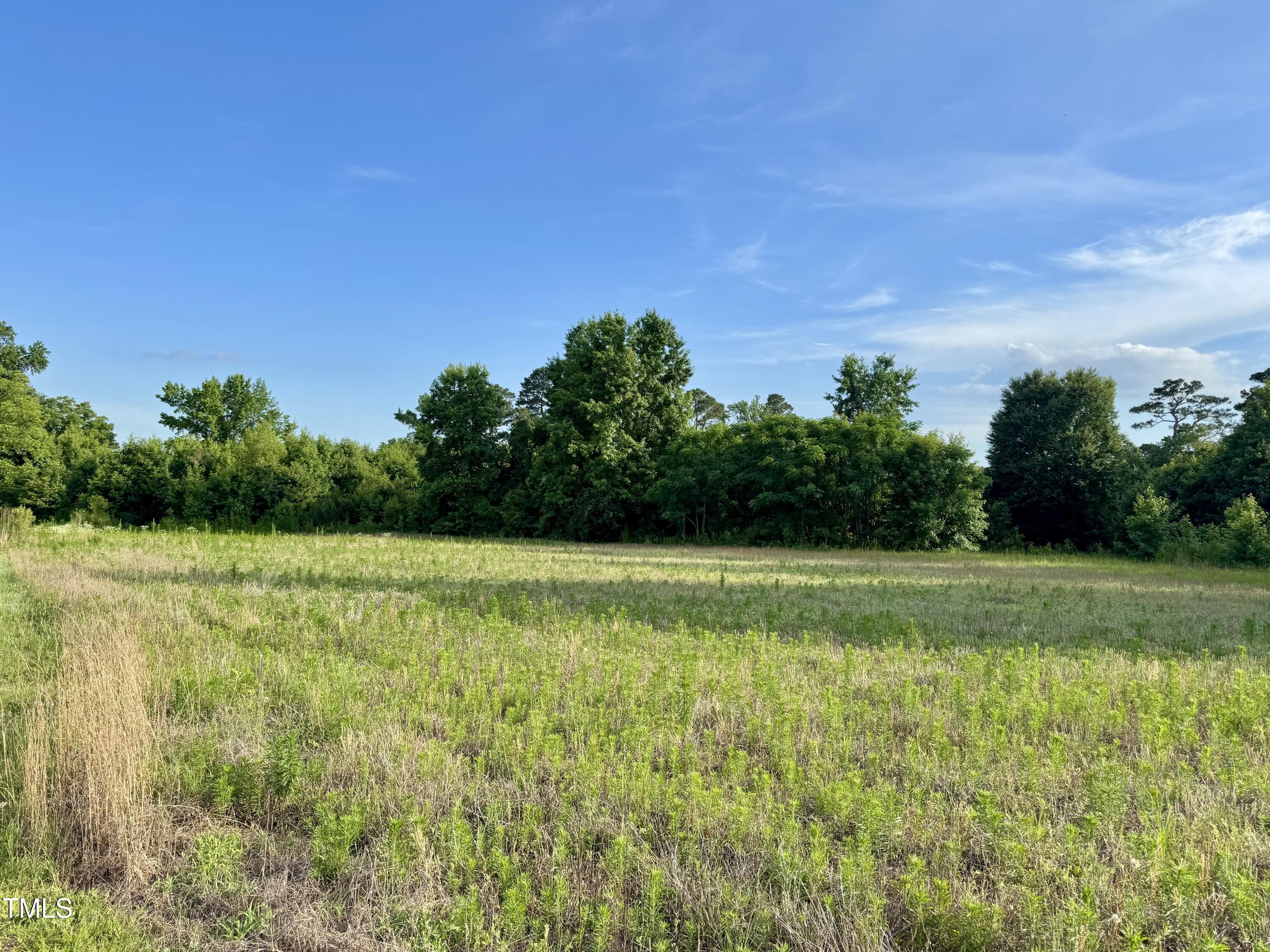 3371 Baileys Crossroads Road Benson, NC 27504 - Photo 8 of 14 Flat