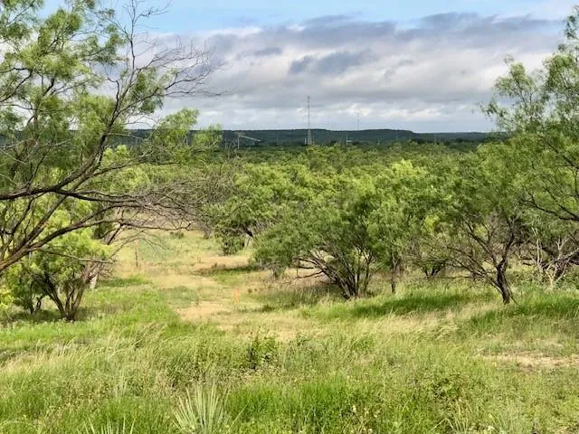 a view of a field with an ocean