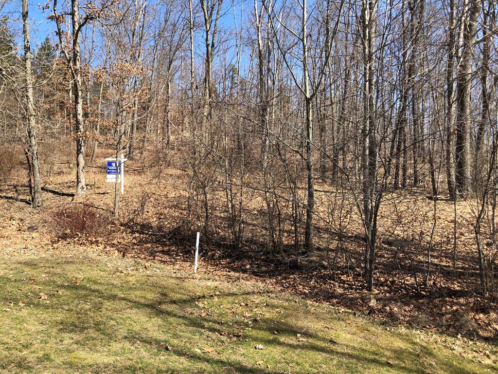 Lot 4 Metz Road Parker, PA 16049 - Photo 6 of 10