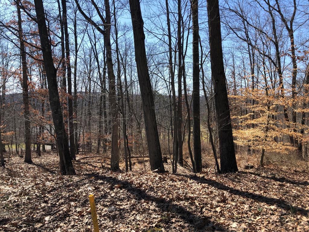 Lot 4 Metz Road Parker, PA 16049 - Photo 7 of 10