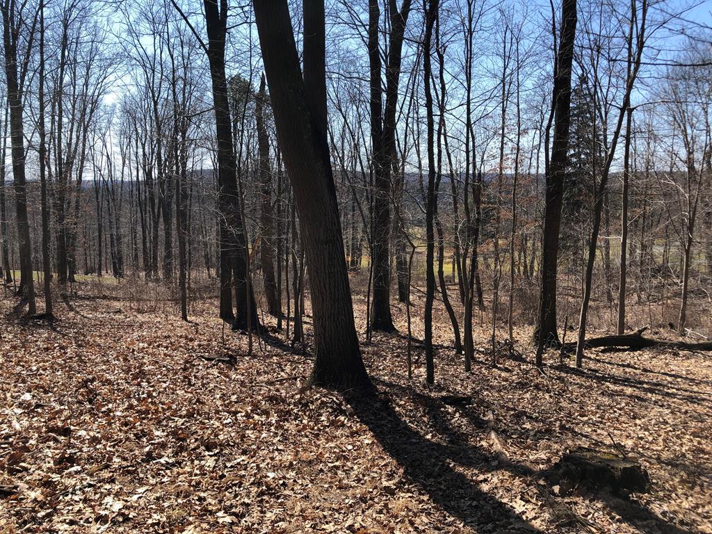 Lot 4 Metz Road Parker, PA 16049 - Photo 8 of 10