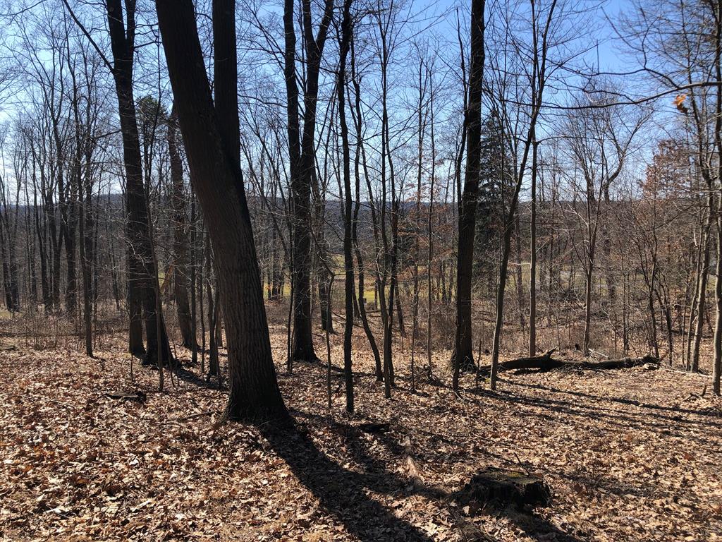 Lot 4 Metz Road Parker, PA 16049 - Photo 9 of 10