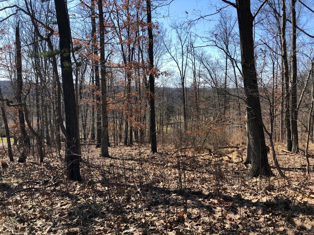 Lot 4 Metz Road Parker, PA 16049 - Photo 10 of 10