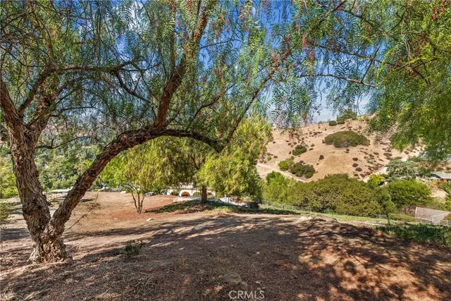 a view of backyard space and trees