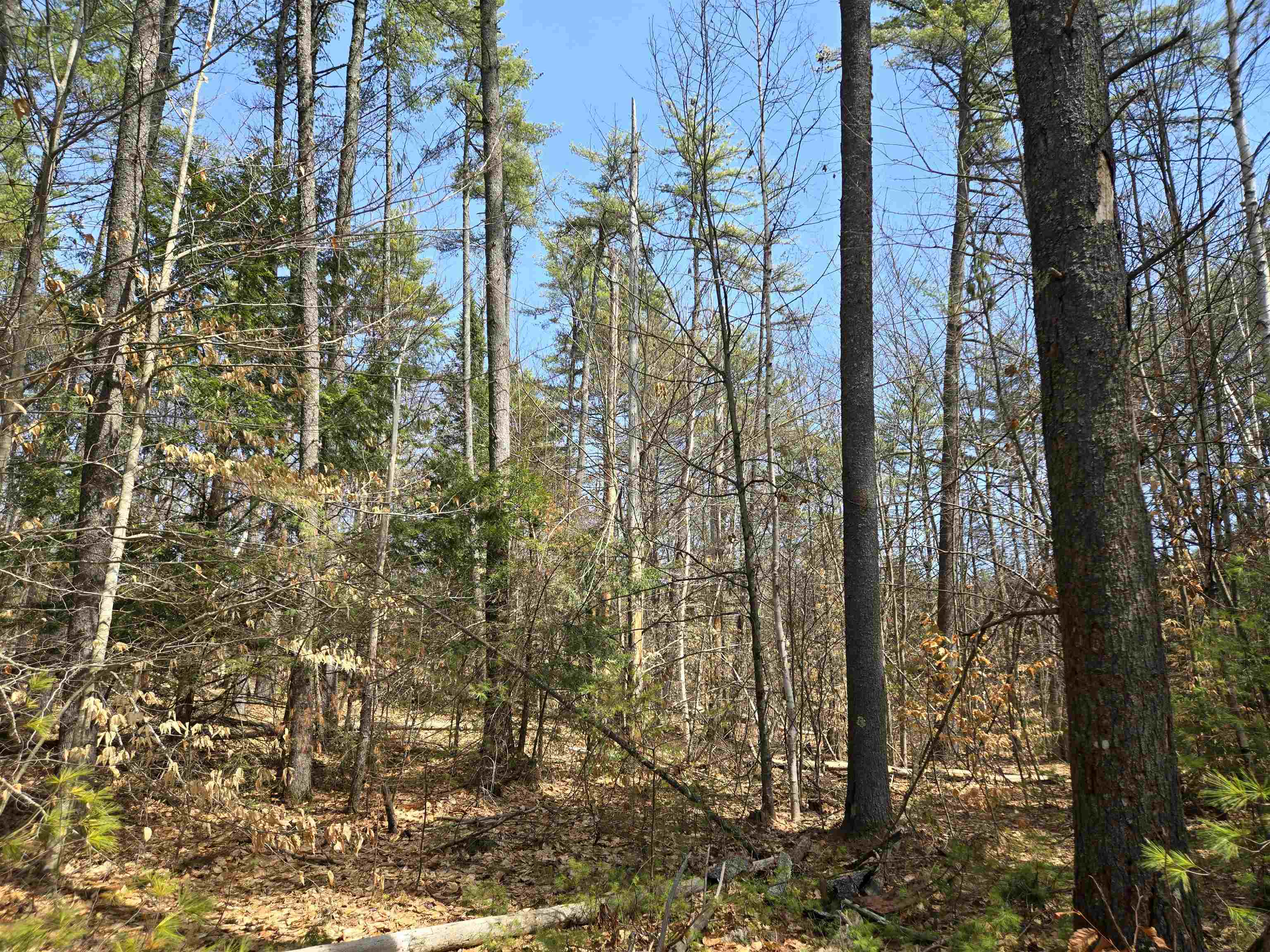 179 Chickville Road Ossipee, NH 03864 - Photo 5 of 12