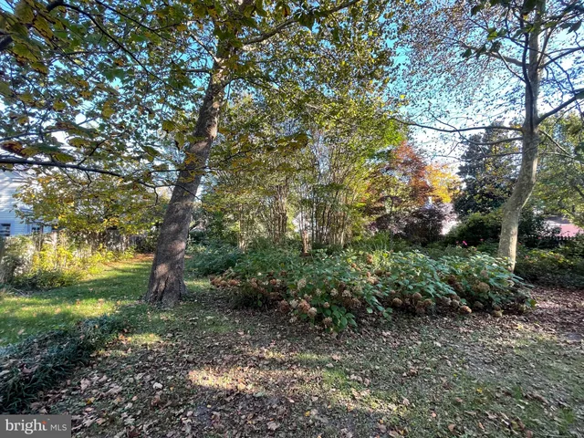 a view of yard with green space