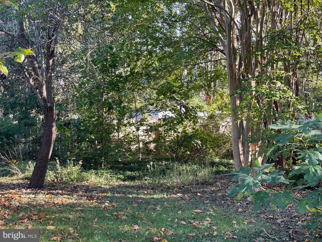 a view of outdoor space and trees