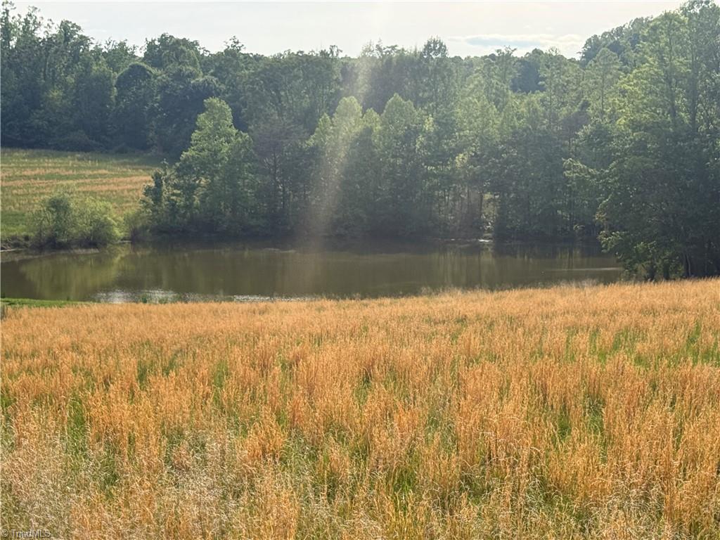 0 Amostown Road Sandy Ridge, NC 27046 - Photo 26 of 33
