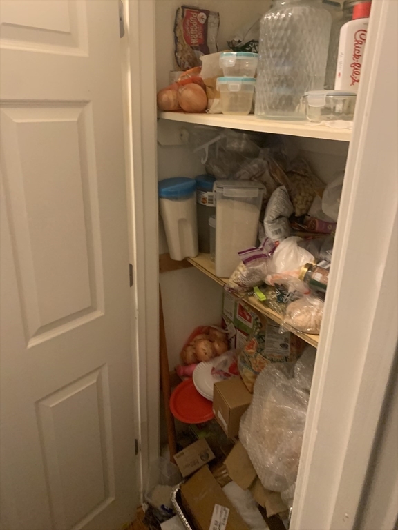 2945 Washington Street, Unit 1 Boston, MA 02119 - Photo 8 of 9