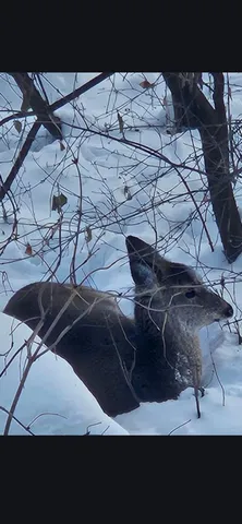 $174,900 | 1855 Silver Bell Road, Unit 314, Eagan, MN 55122