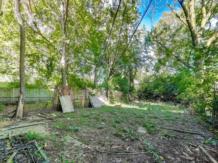 a view of a tree in a yard