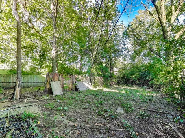 a view of a tree in a yard